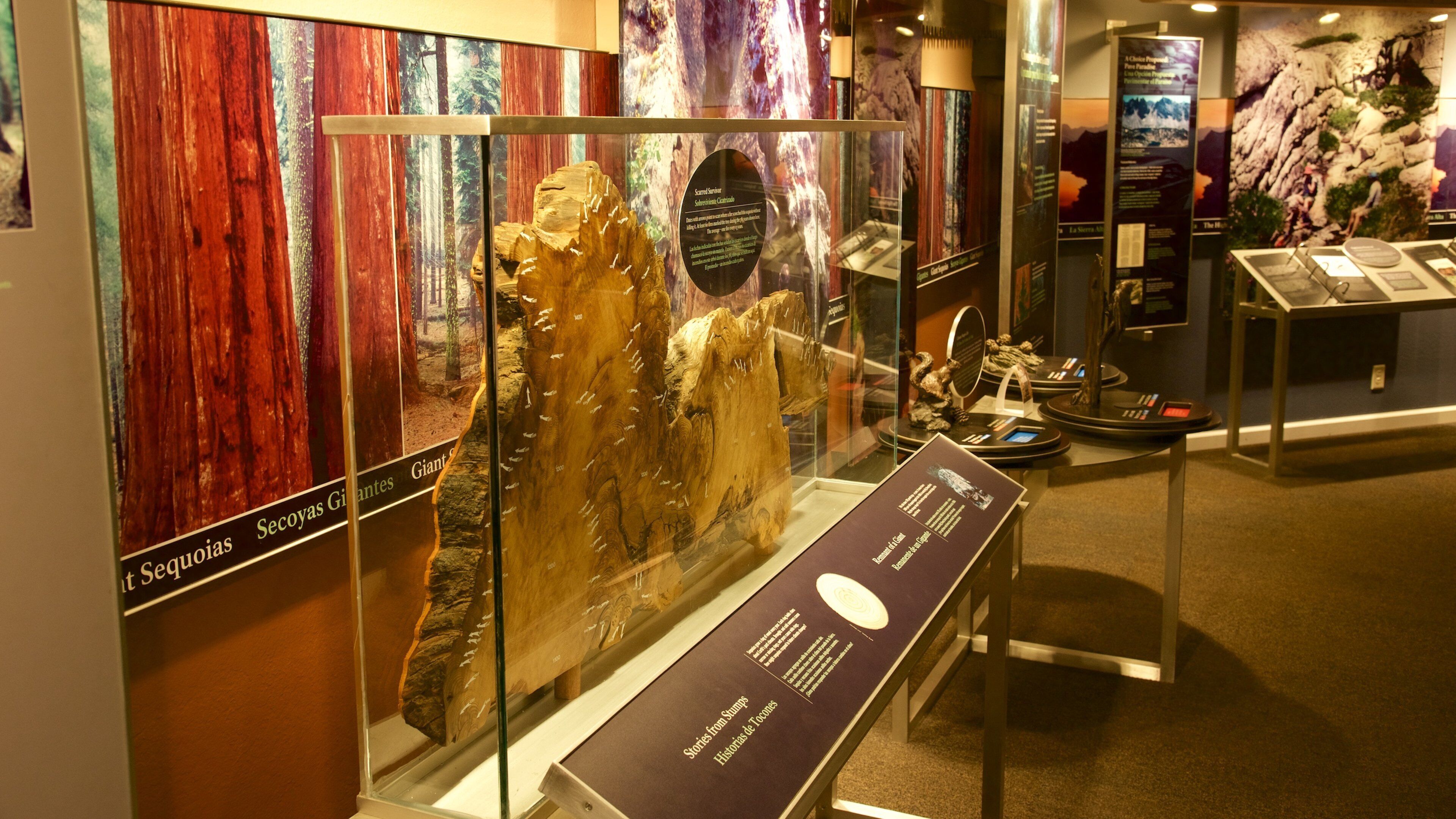 國王峽谷國家公園