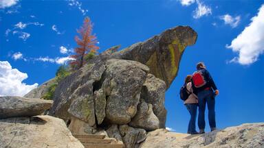 Sequoia National Park