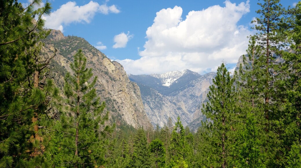 Sequoia and Kings Canyon National Parks