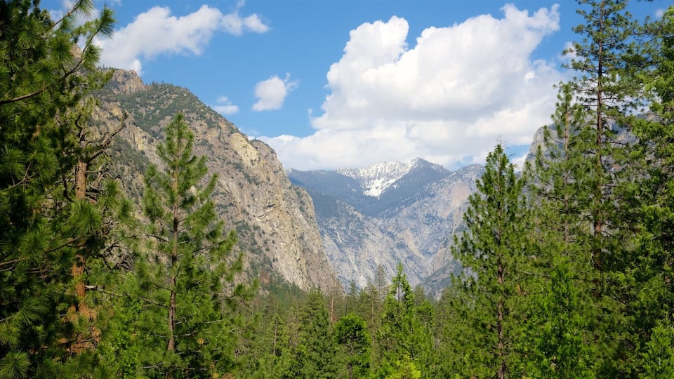 A mountainous landscape with dense pine forests and snow-capped peaks under a partly cloudy sky.