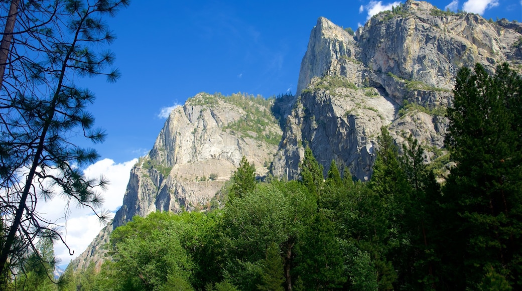 Công viên quốc gia Kings Canyon có tính năng những ngọn núi và cảnh thanh bình