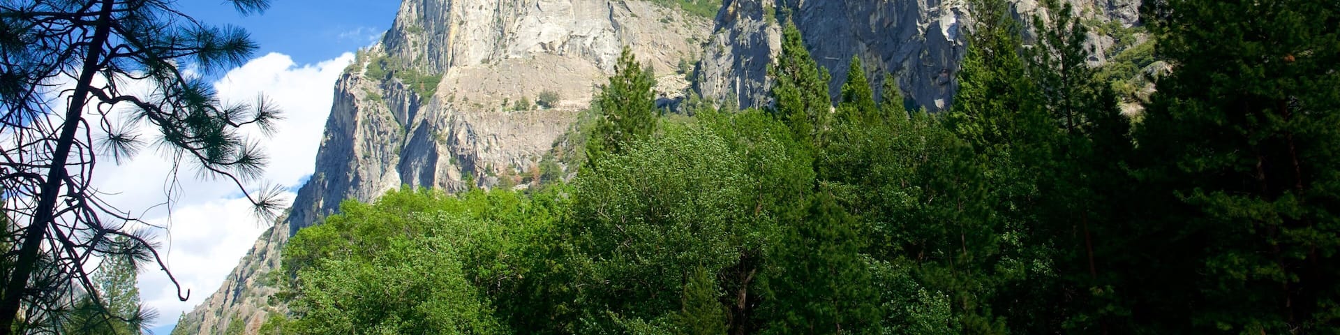 Kings Canyon National Park