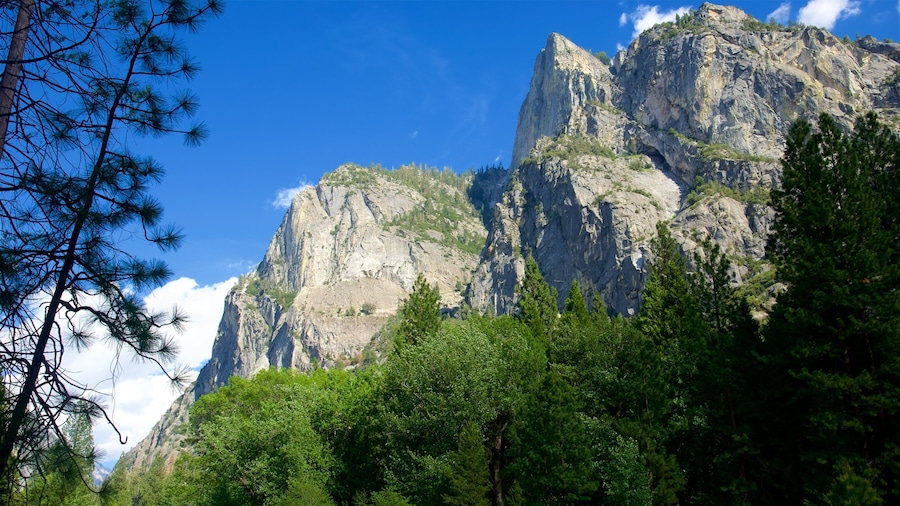 Parque Nacional de Kings Canyon caracterizando montanhas e cenas tranquilas