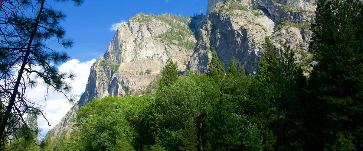 Kings Canyon National Park