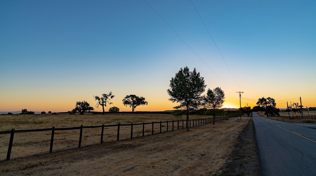 เทมเปิลตัน