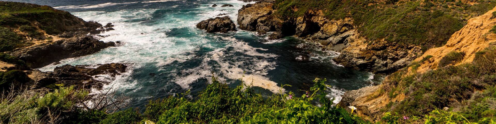 APRIL 8, 2019 - CENTRAL COAST, PCH, ROUTE 1 - USA - White Calli Lily along side of Pacific Coast Highway, Route 1, California