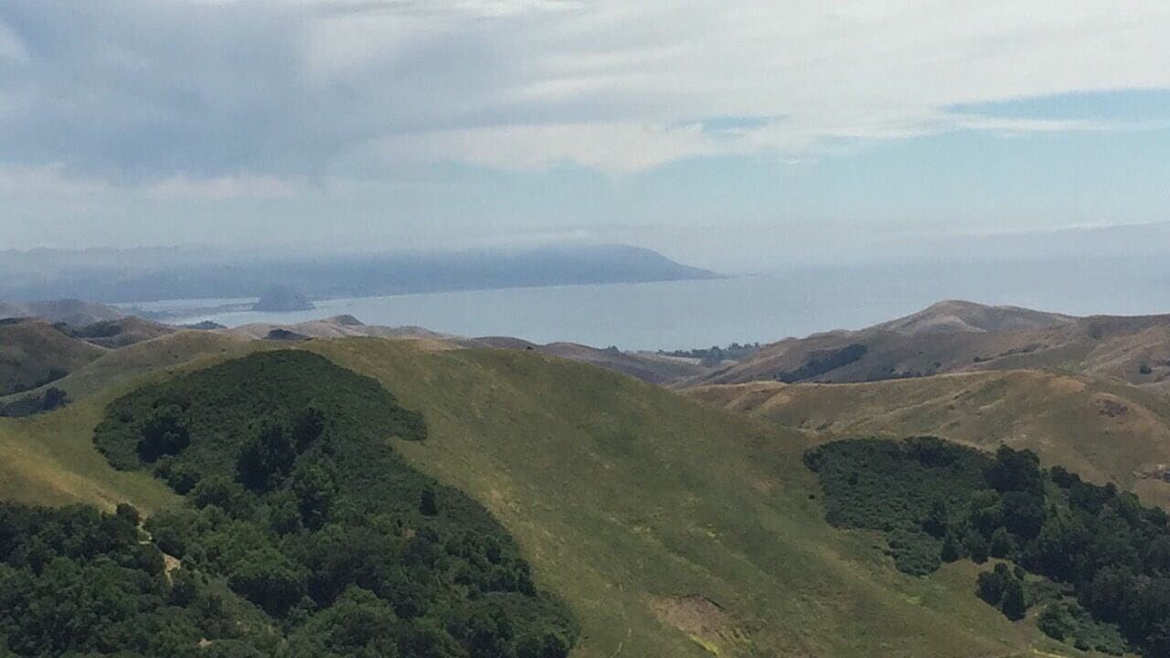 Between Cambria and Paso Robles