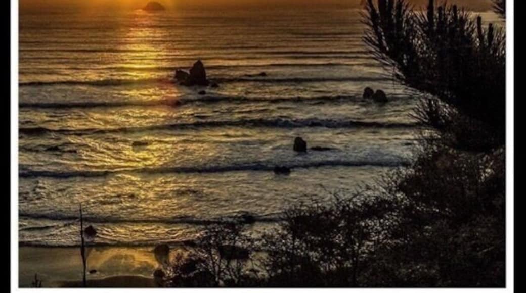 Trinidad Sunset. Looking over the Pacific Ocean and the sun setting in the west. Just south of Trinidad, California.
#golden