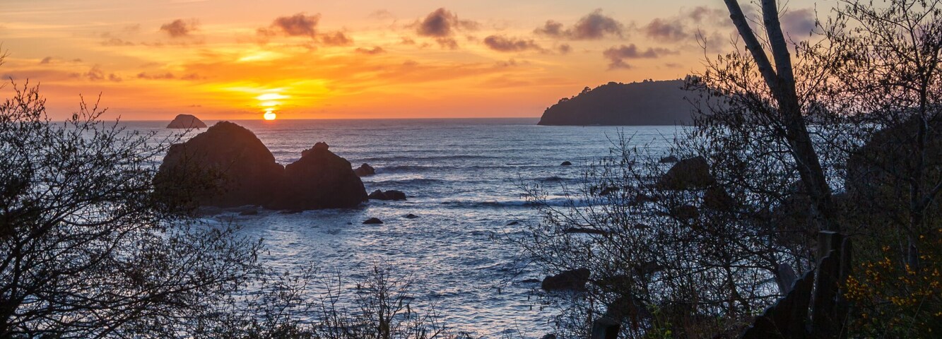Un atardecer sobre un paisaje costero con afloramientos rocosos y vegetación escasa.