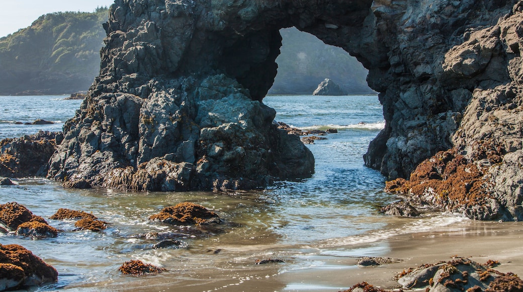 Trinidad State Bach, California. Coastal Arch at College Cove.