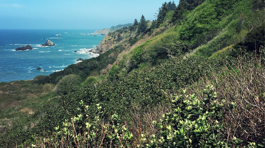 The coastline near Patricks Point State Park
A rainstorm had just passed so the trail was muddy. I also passed a few snakes sunbathing on the the trail.