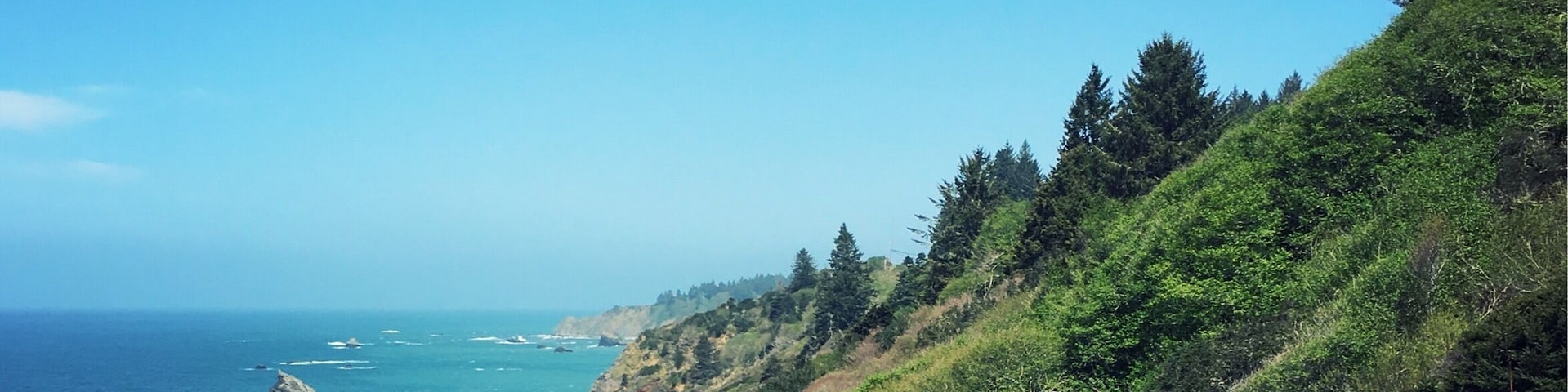 The coastline near Patricks Point State Park
A rainstorm had just passed so the trail was muddy. I also passed a few snakes sunbathing on the the trail.