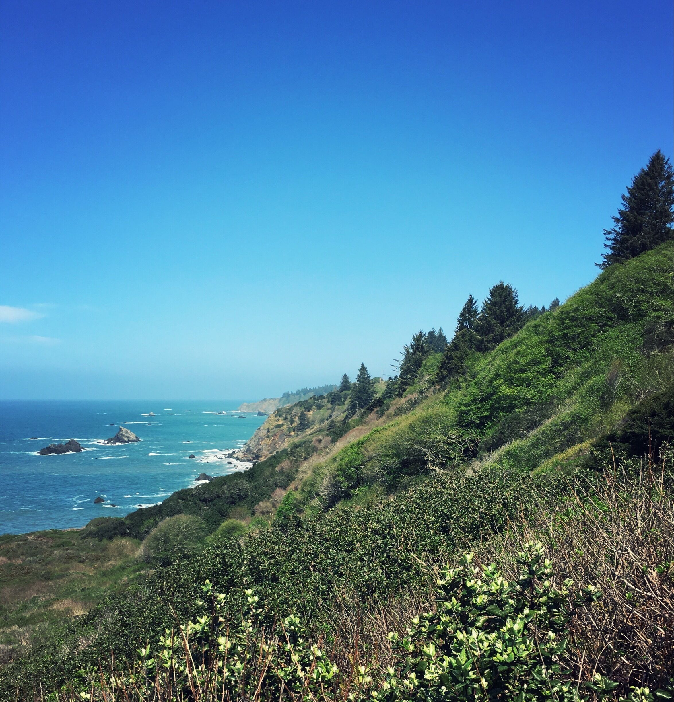 A coastal landscape with a clear blue sky, a rugged coastline with rocky outcrops, and dense green vegetation on a hillside.