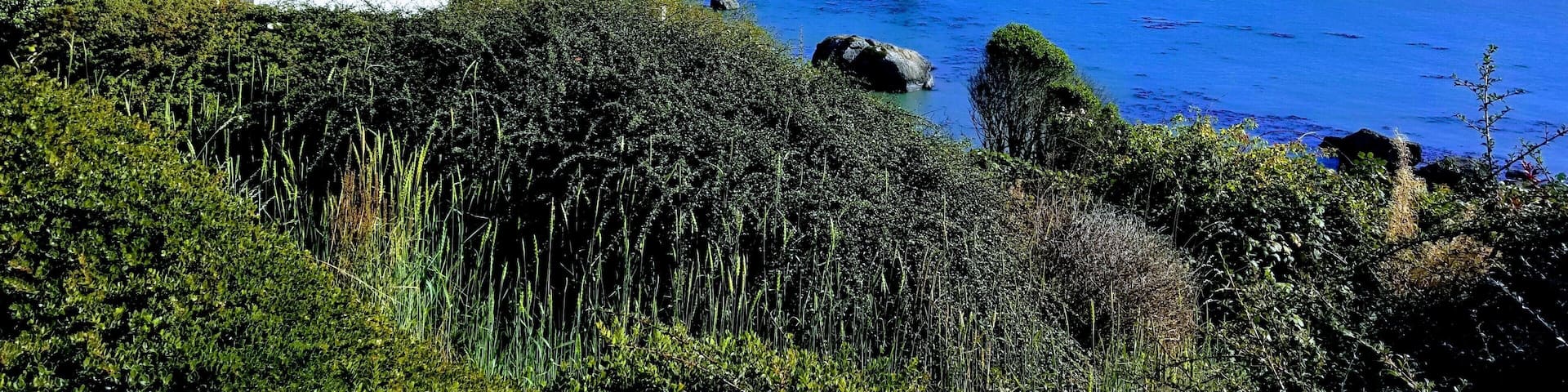 Beautiful day in Humboldt county