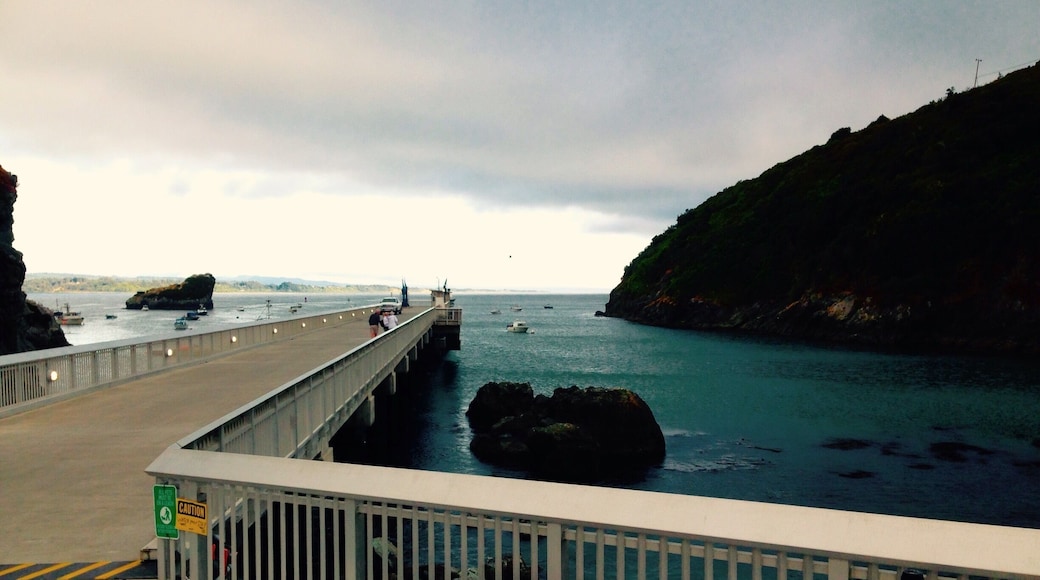 A view from our table at our favorite restaurant in Trinidad, CA.