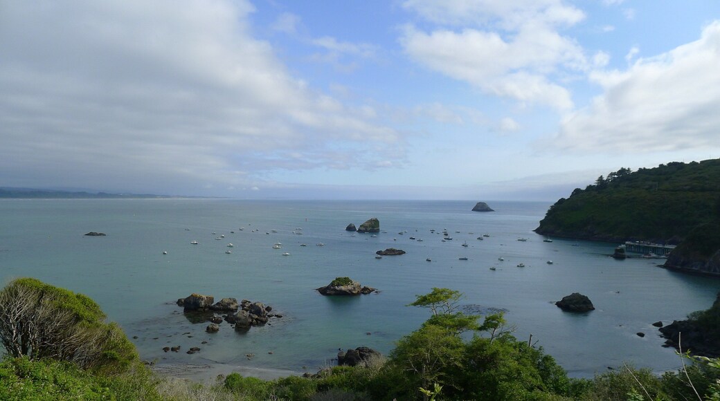 0_a6a79fb1-26db-4121-b7f4-62b1438e5718_raw