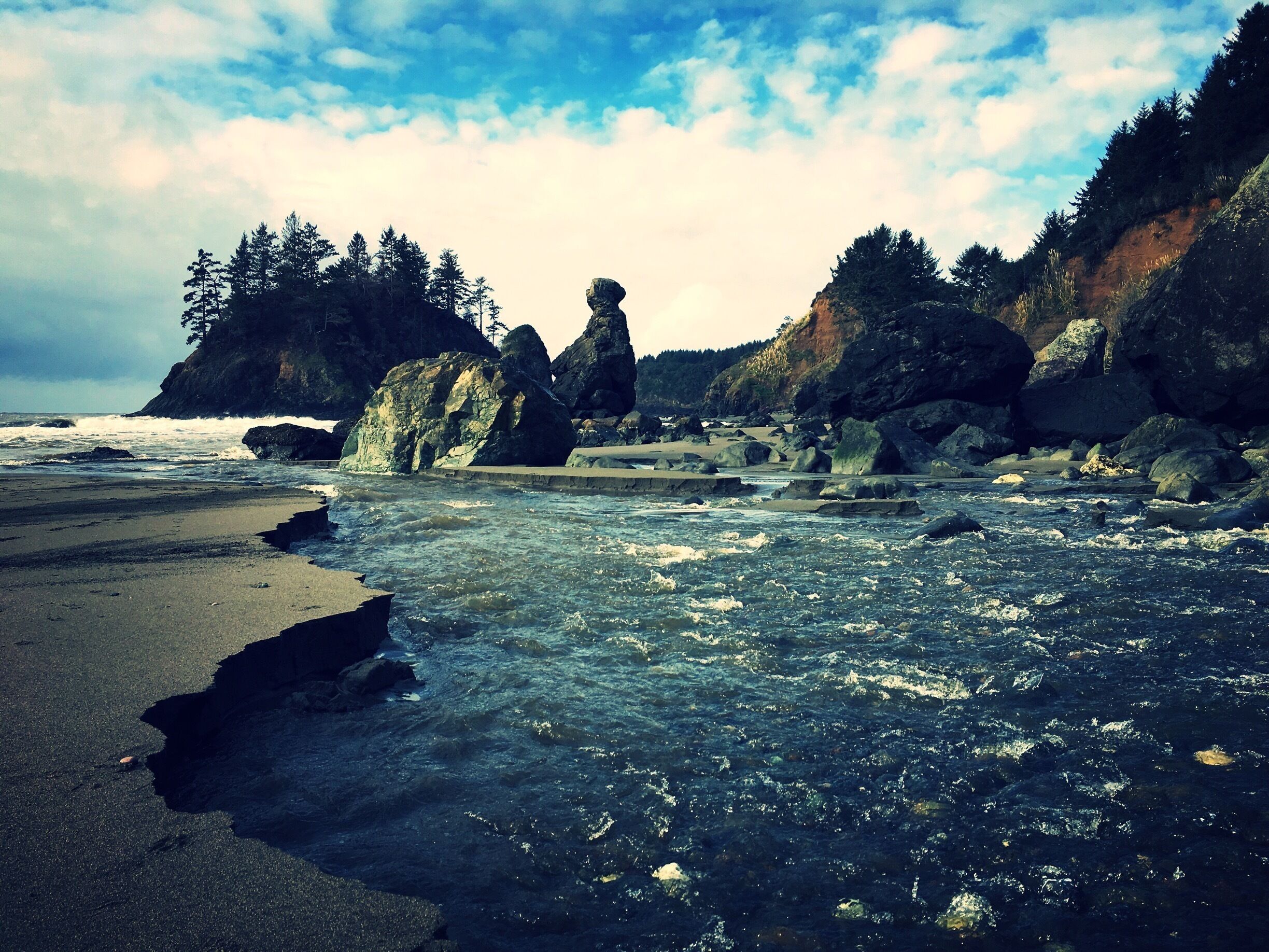 A rocky shoreline with waves crashing onto the beach, surrounded by dense forest and large boulders.