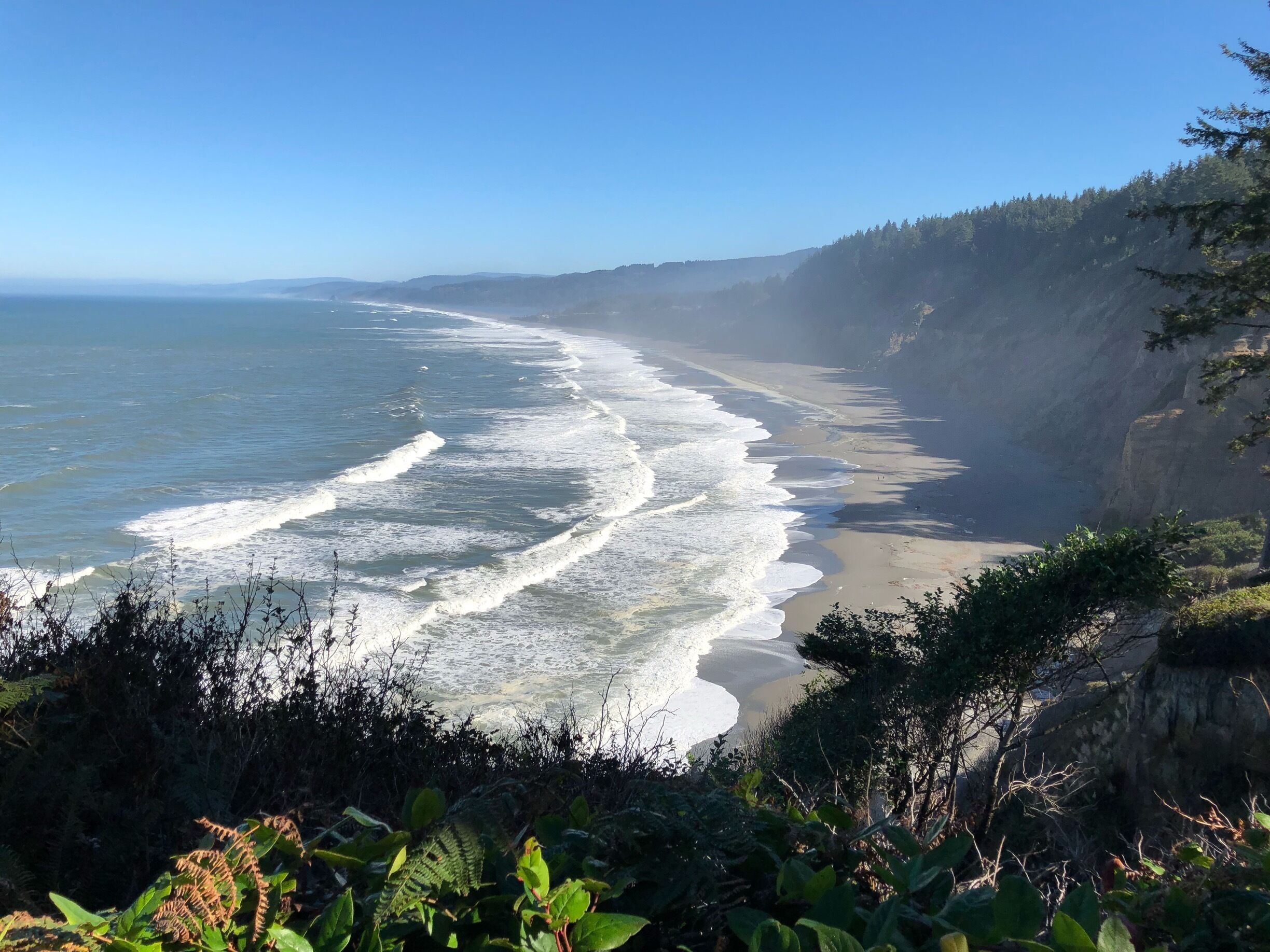 From the top of the trail leading down to Agate beach.