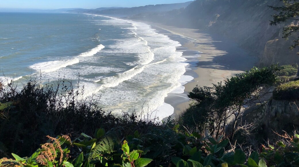 From the top of the trail leading down to Agate beach.