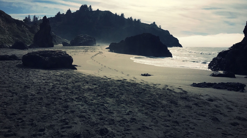 Trinidad State Beach in Trinidad, California