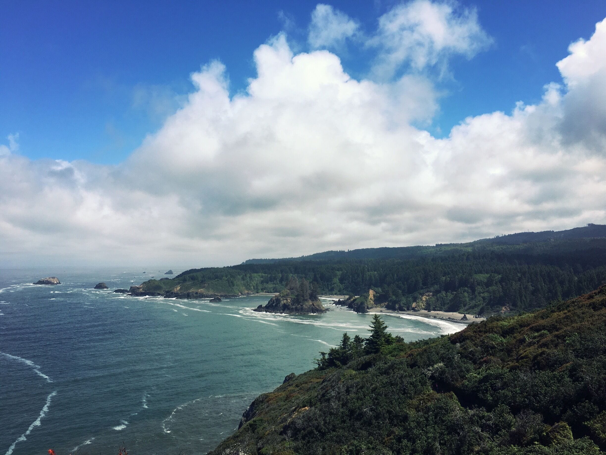 Visit Trinidad: 2026 Travel Guide for Trinidad, California | Expedia
