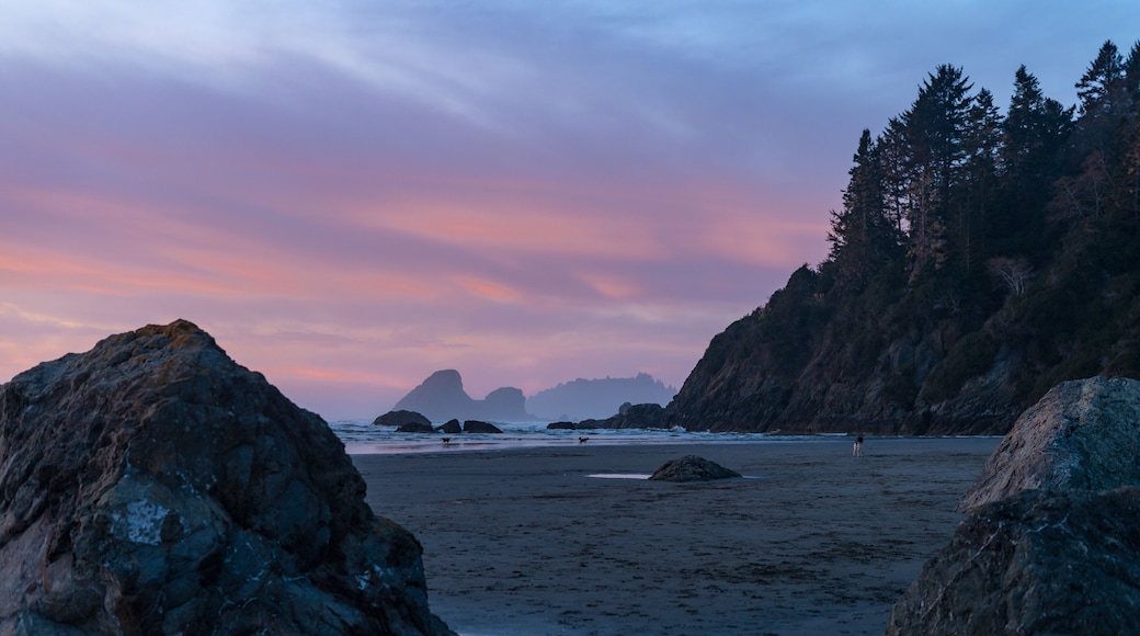 Tranquil sunrise at Moonstone Beach in Trinidad, California. Receding tide creates reflective ripples on dark sand with Camel Rock and sea stacks silhouetted against a vibrant orange and pink sky.