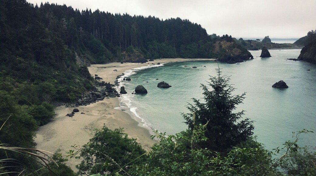 A view of College Cove Beach from College Cove Trail on a cloudy day