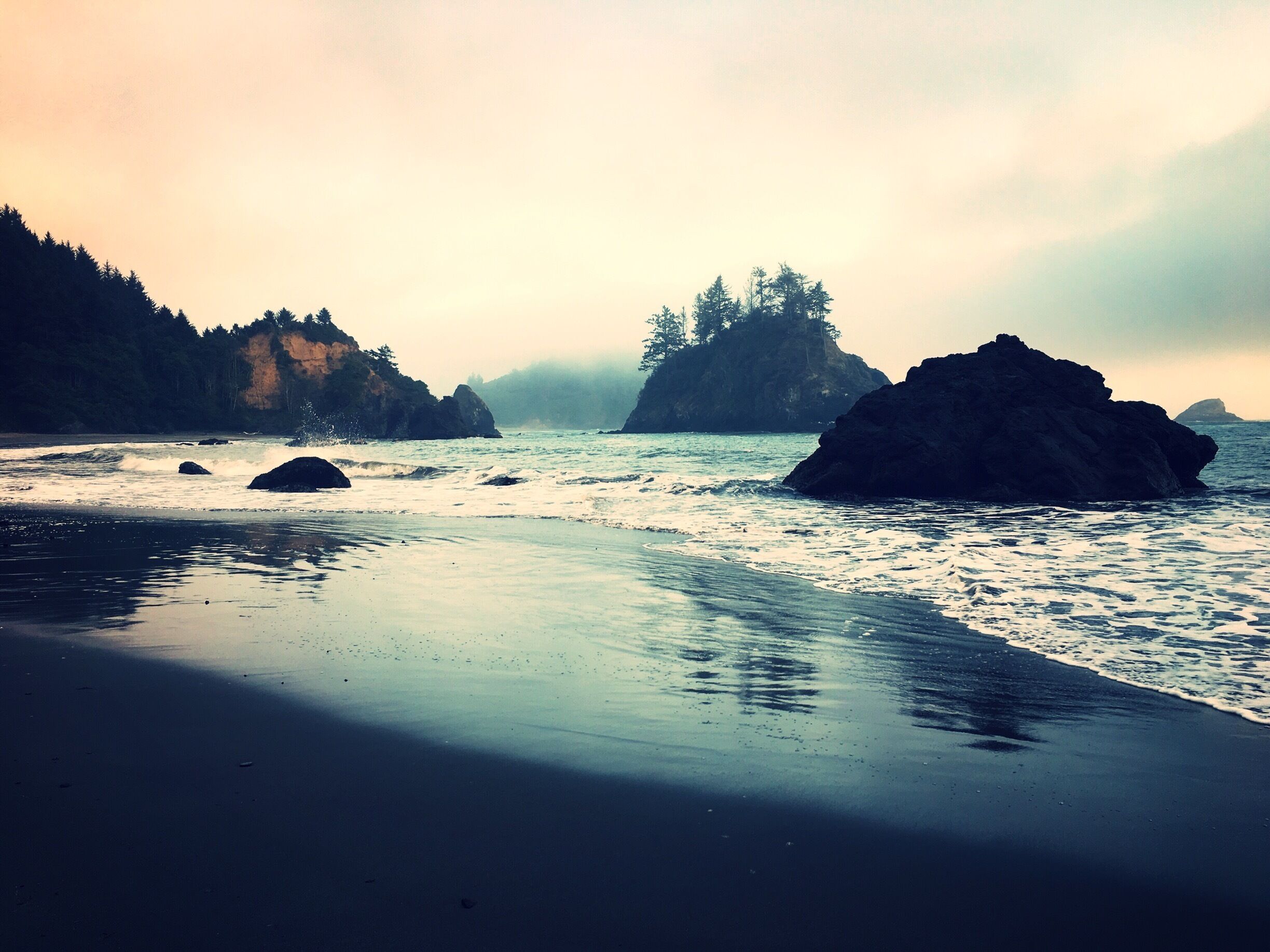 Just north of Trinidad State Beach

I’ve lived in Northern Humboldt County for about three years and College Cove Beach is one of my top five places to hang out in #MyBackyard. Low tide allows tide-pooling at the northern- and southern-most ends of the beach, and during high-surf storms, the trail north of the beach provides a great view of the blowhole.