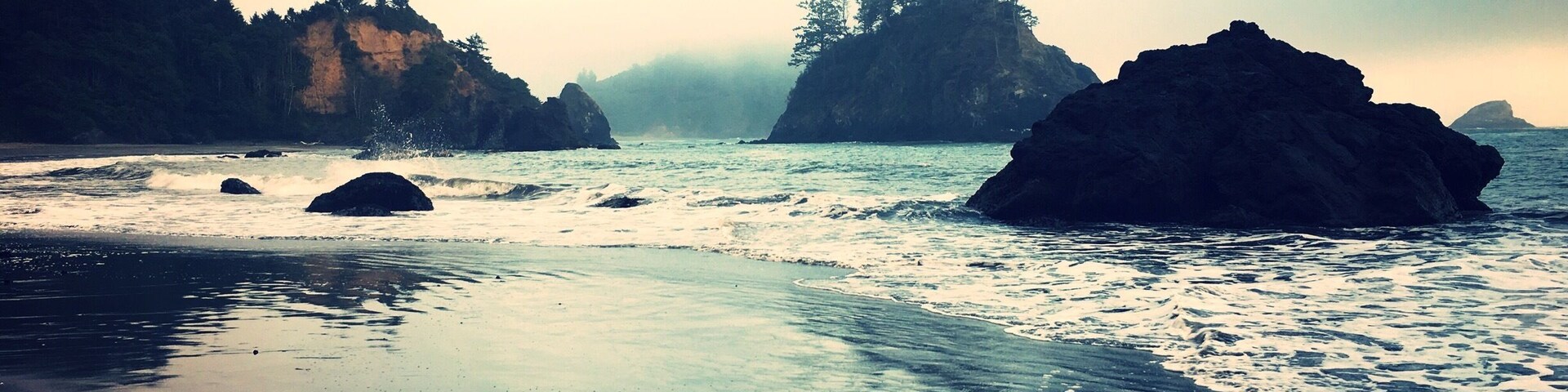 Just north of Trinidad State Beach
Iâve lived in Northern Humboldt County for about three years and College Cove Beach is one of my top five places to hang out in #MyBackyard. Low tide allows tide-pooling at the northern- and southern-most ends of the beach, and during high-surf storms, the trail north of the beach provides a great view of the blowhole.