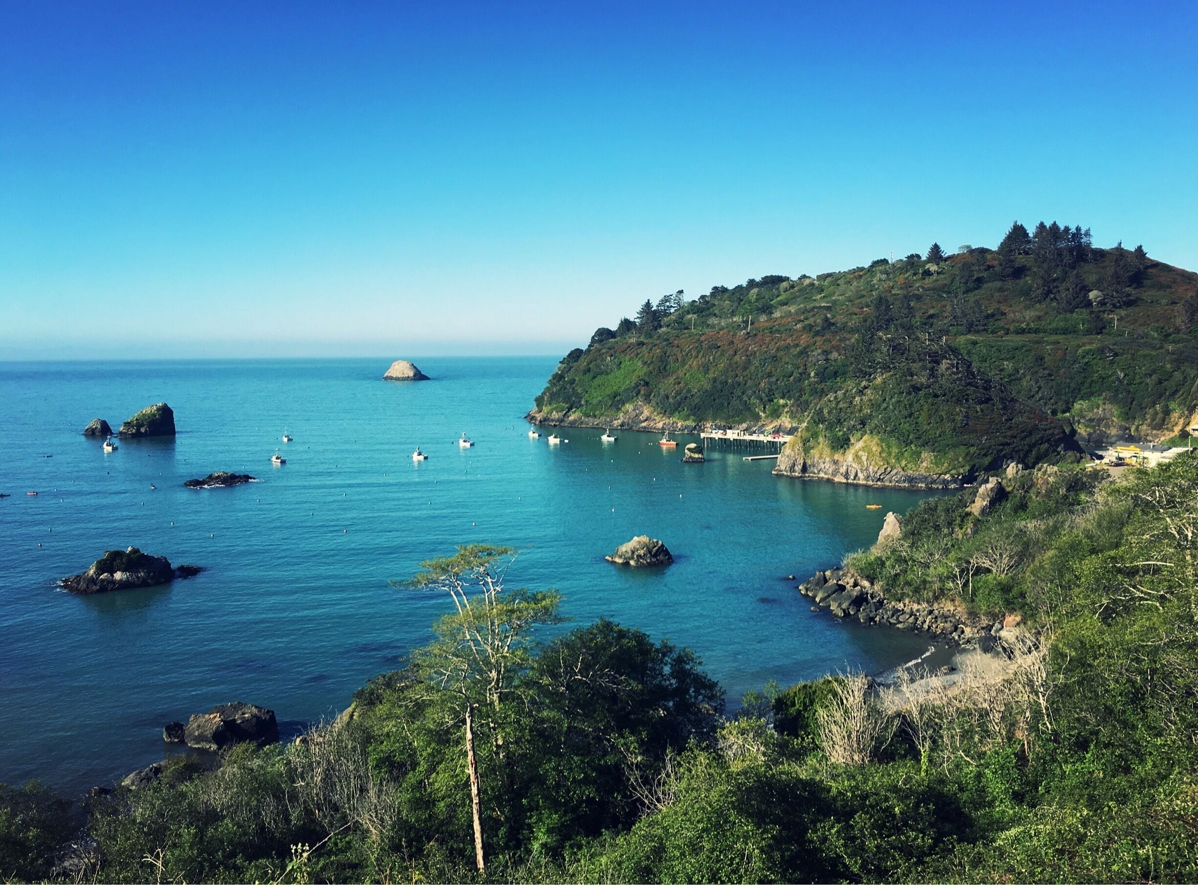 Visit Trinidad: 2026 Travel Guide for Trinidad, California | Expedia