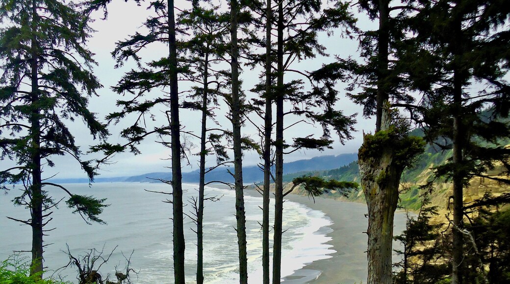 Agate Beach along the Northern California Coast is accessed through Patrick's Point State Park. The beach is known for its geological gems that can be found in the sand and nearby cliffs. The access to the beach follows a winding trail descending 300 feet from the parking and the interesting aspect is that there are signs that inform that any rocks, gems, or driftwood that can be carried out is allowed. The catch is that one needs to haul the finds back up the hill. The beach has 2 miles to rock hound. Lynn and I spent much of the day here, found many beautiful stones and polished some back at home.
#BeachTips