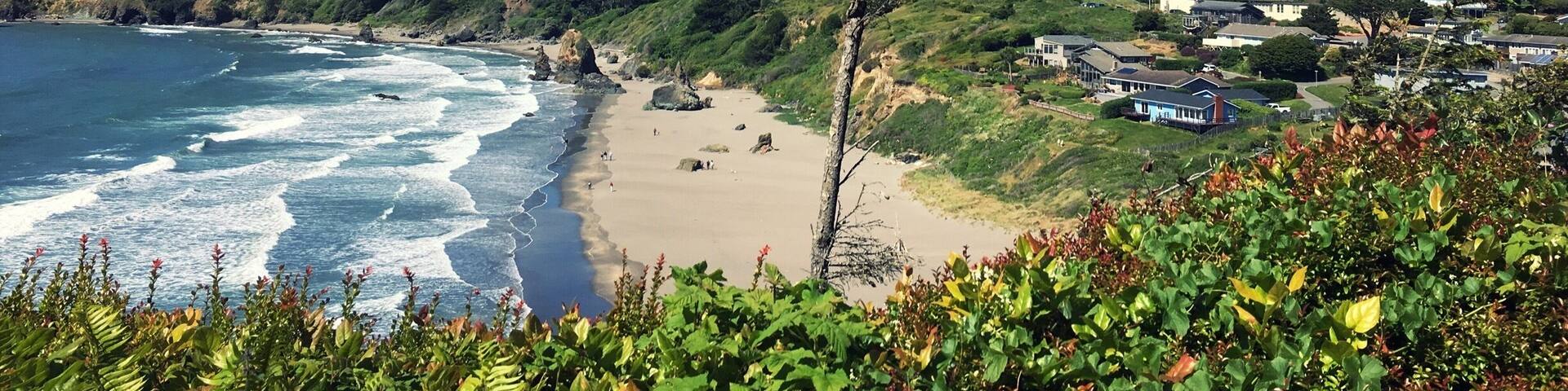 A coastal landscape with a beach, ocean waves, a forested hillside, and residential buildings.