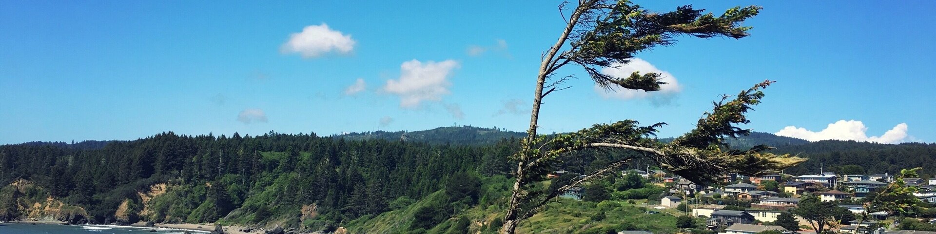 View of Trinidad State Beach and homes in Trinidad, California