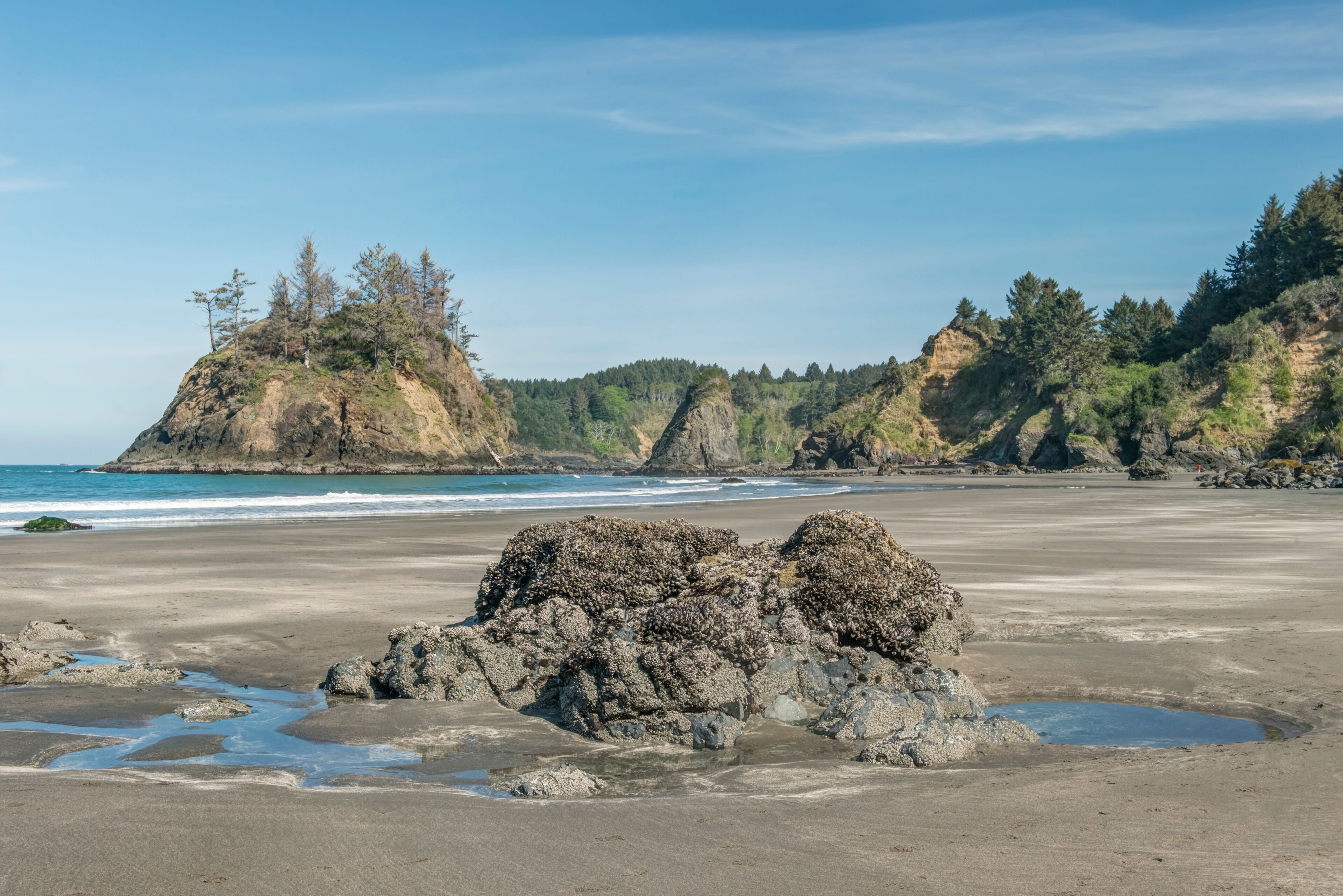 California, Trinidad Beach State Park, Trinidad Beach