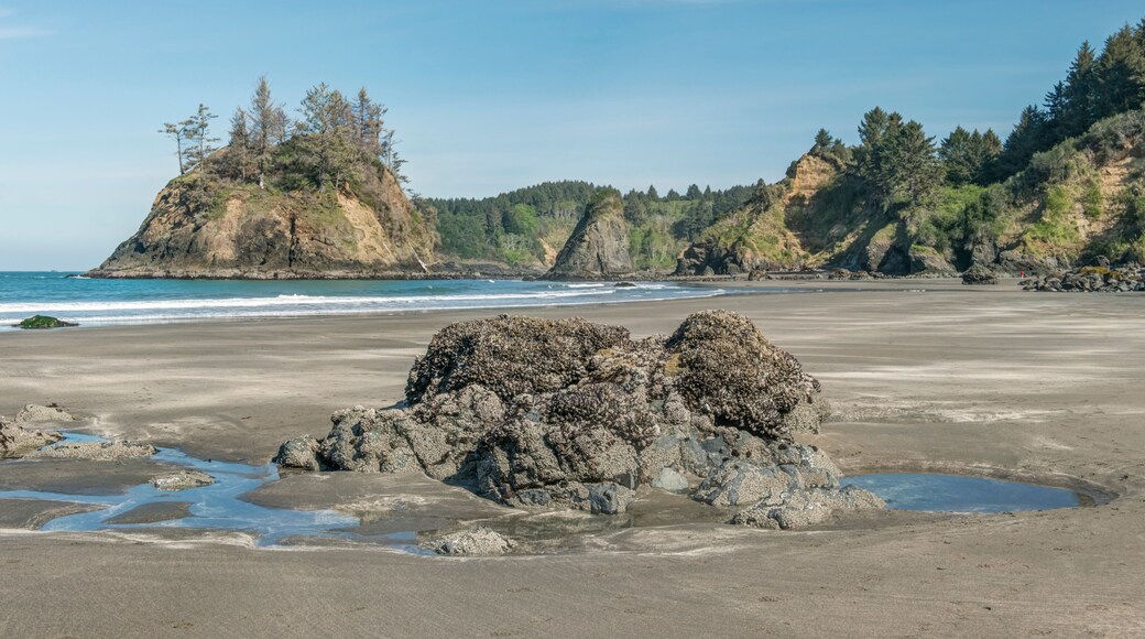 California, Trinidad Beach State Park, Trinidad Beach