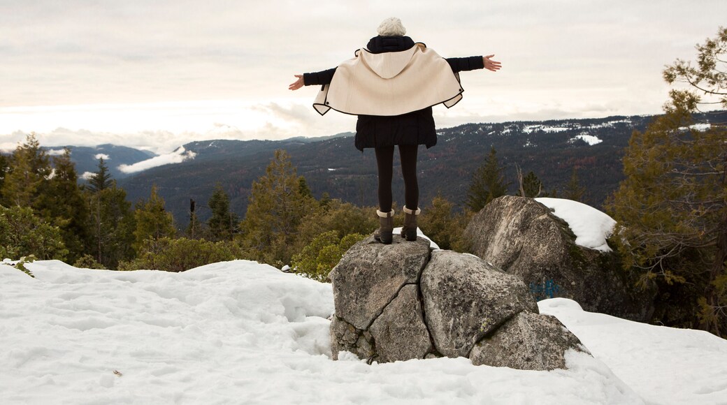 Young woman standing on rock on snow covered mountain, rear view, Twain Harte, California, USA