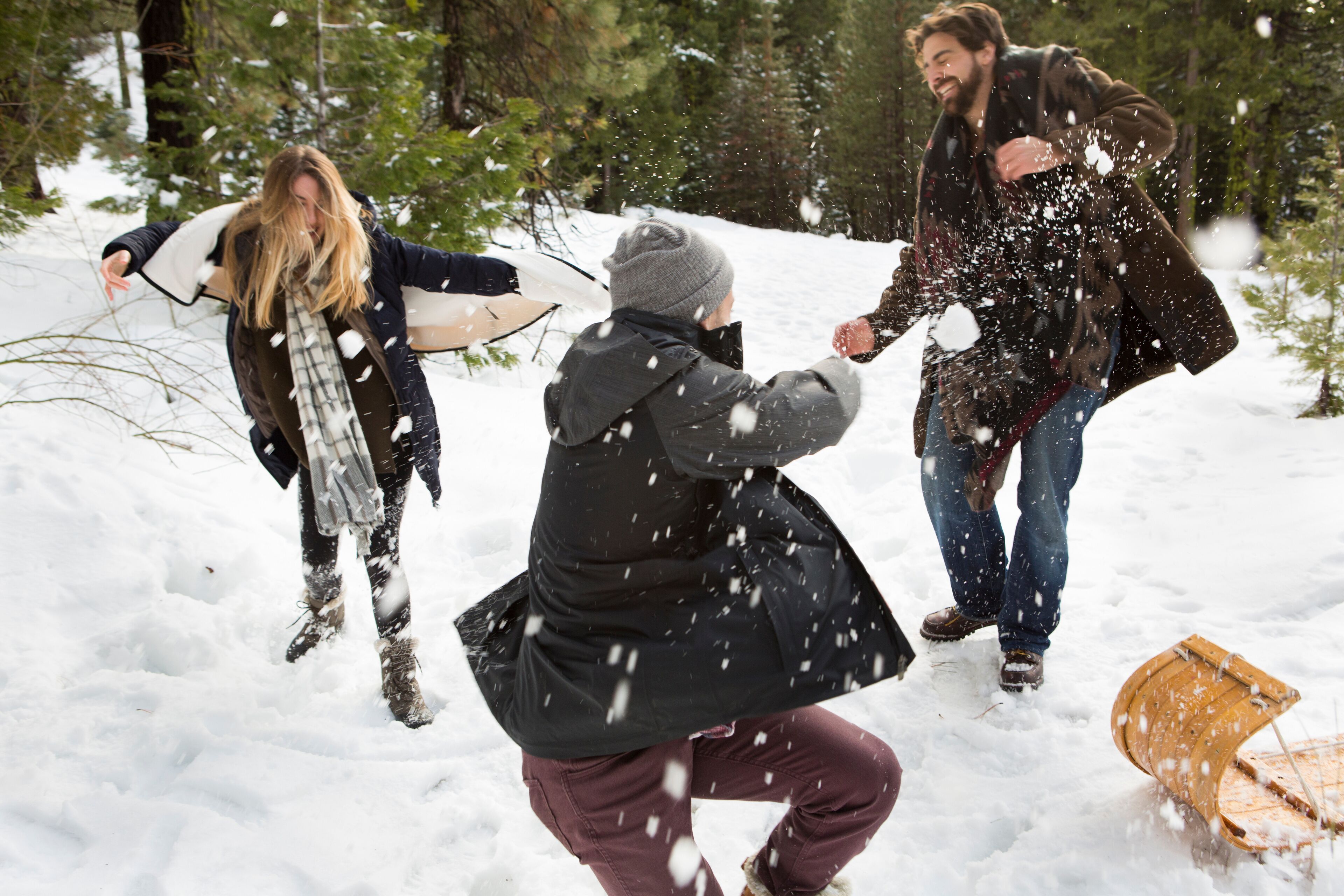 Young woman and mid adult men having snowball fight in winter forest, Twain Harte, California, USA