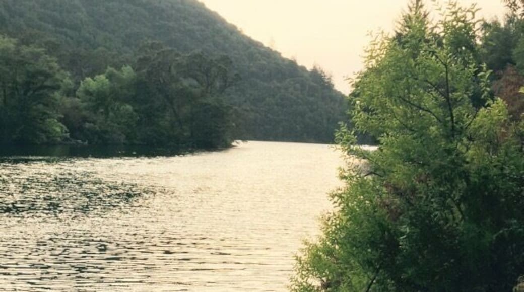 This is a awesome little spot to just pull off the side of the road and take a refreshing dip! You can pay to get into the resort area which has a little sandy beach or you can just jump in off the side of the road which I prefer to do most of the time because it takes less time!