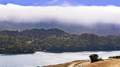 Upper Crystal Springs Reservoir, part of the San Mateo Creek watershed and Santa Cruz mountains covered with clouds visible in the background; San Mateo, San Francisco bay area, California