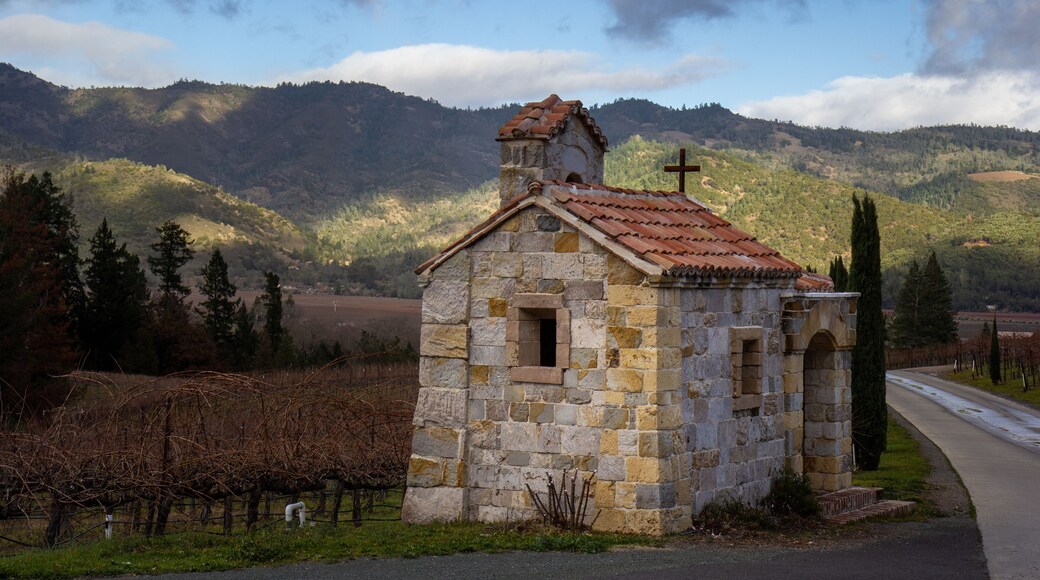 Building in wine country Itailian