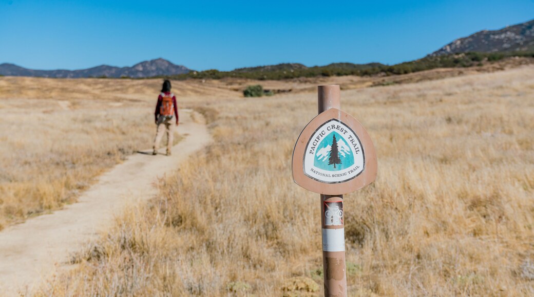 Hiking on the Pacific Crest Trail