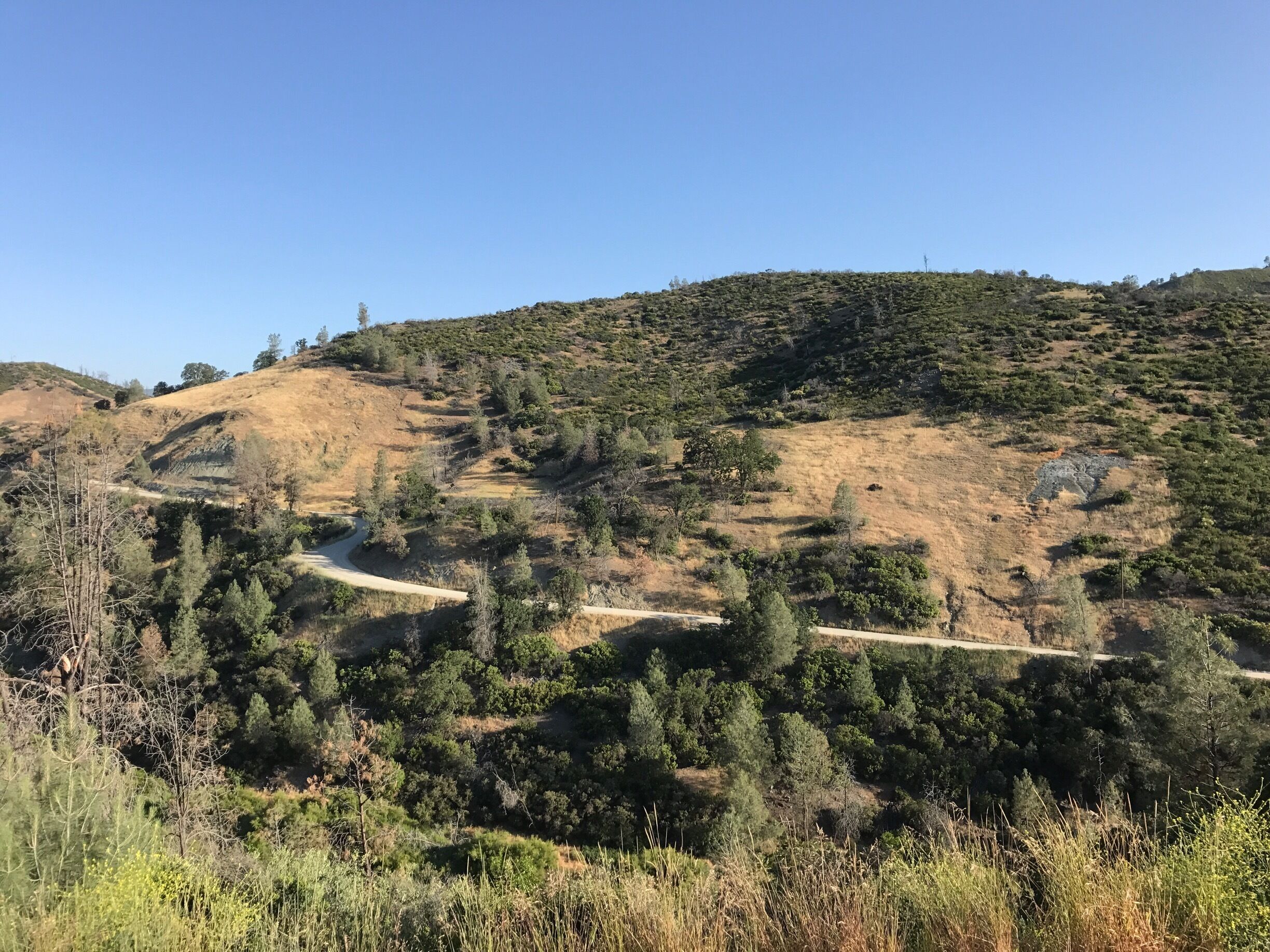 Nice little pull over Vista 