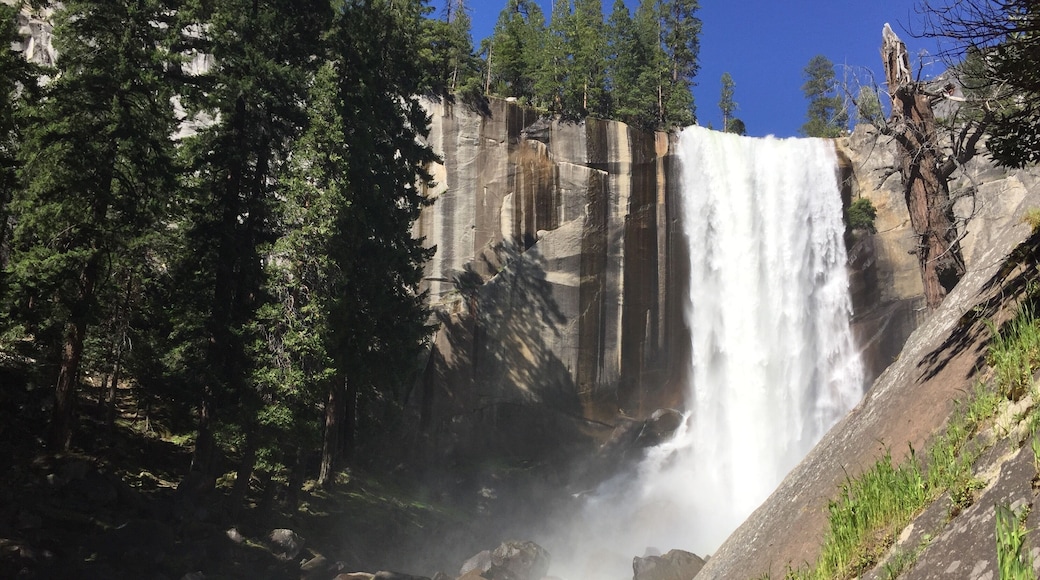 Fun hike to this view