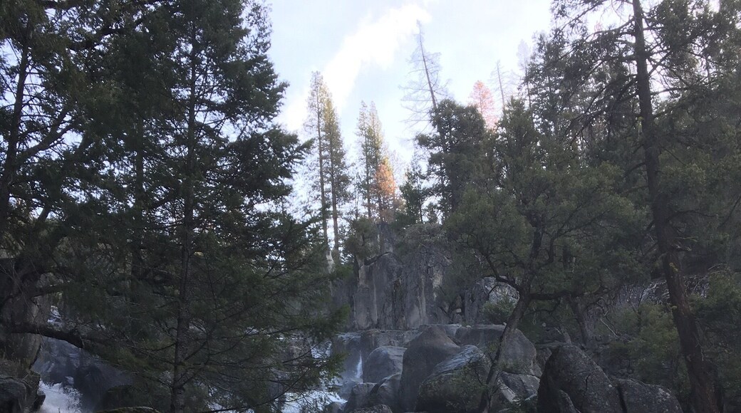 Beautiful area for camping, cabin rentals and a historical hotel for those less inclined to rough it. This is Chilnualna Falls.