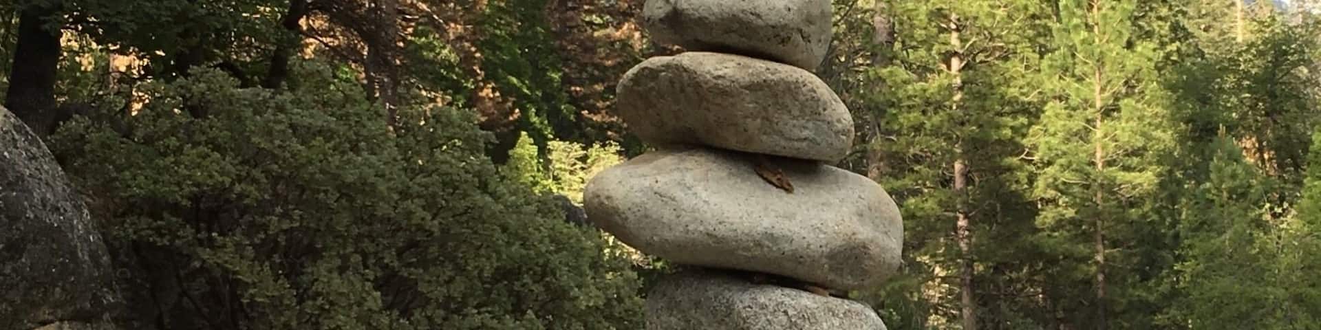 The balance of nature!!! At a creek near our Cabin In The Redwoods In Yosemite.