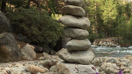 The balance of nature!!! At a creek near our Cabin In The Redwoods In Yosemite.