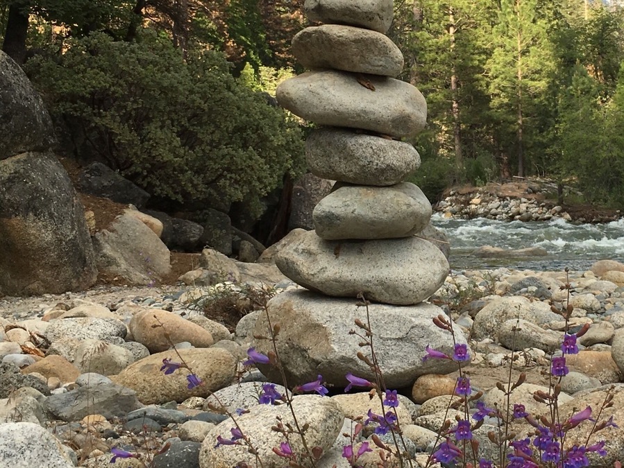 The balance of nature!!! At a creek near our Cabin In The Redwoods In Yosemite.