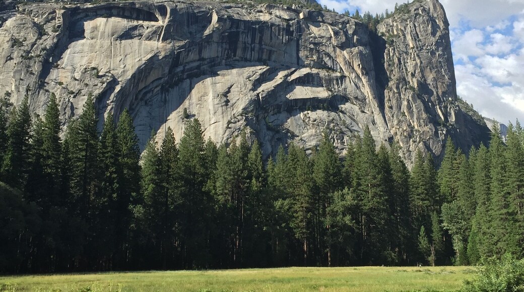 Our first day at Yosemite.