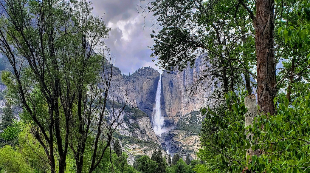 Just after the rain had come through the lighting was perfect for a reflection picture of Yosemite falls