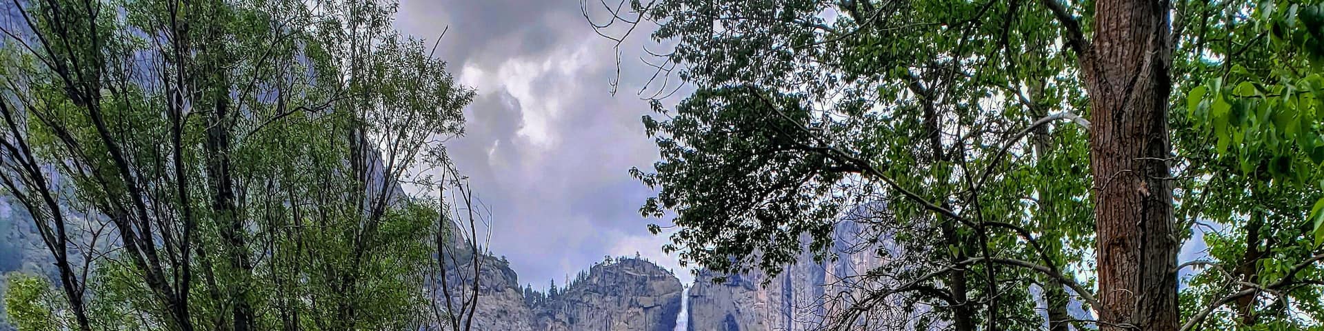 Just after the rain had come through the lighting was perfect for a reflection picture of Yosemite falls